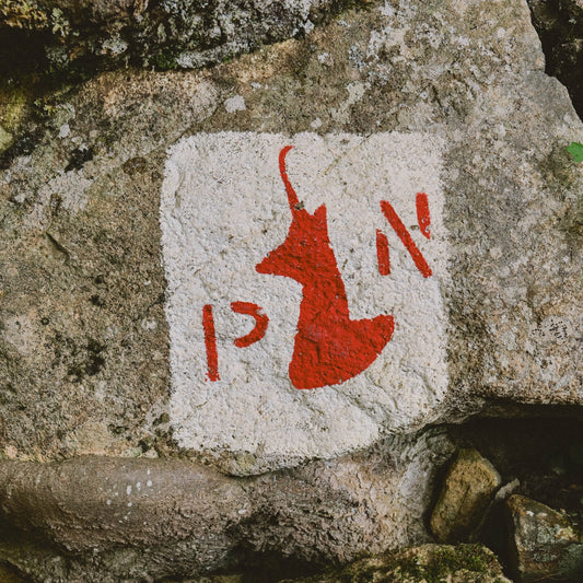 Tout connaître sur les parcs nationaux