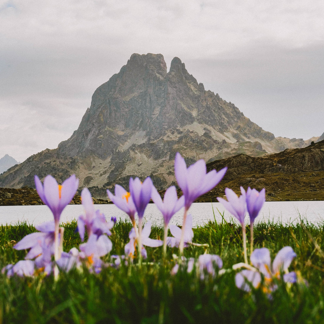 Pic du Midi d'Ossau : le trek mythique des Pyrénées et sa boucle légendaire Mon Panneau De Rando
