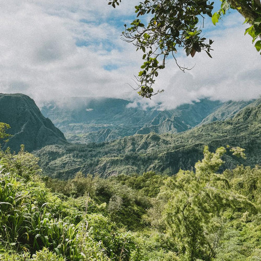 Les meilleures randos à faire à la Réunion : Entre volcans, forêts tropicales et cirques majestueux